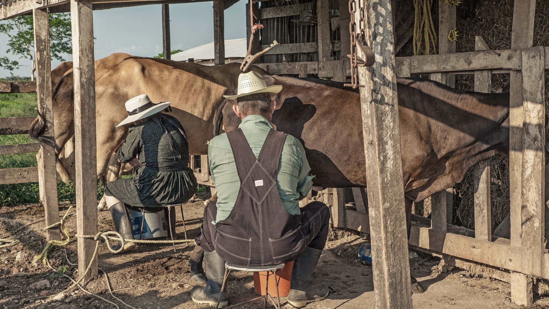 A la rencontre des Mennonites, une communauté aux traditions atypiques