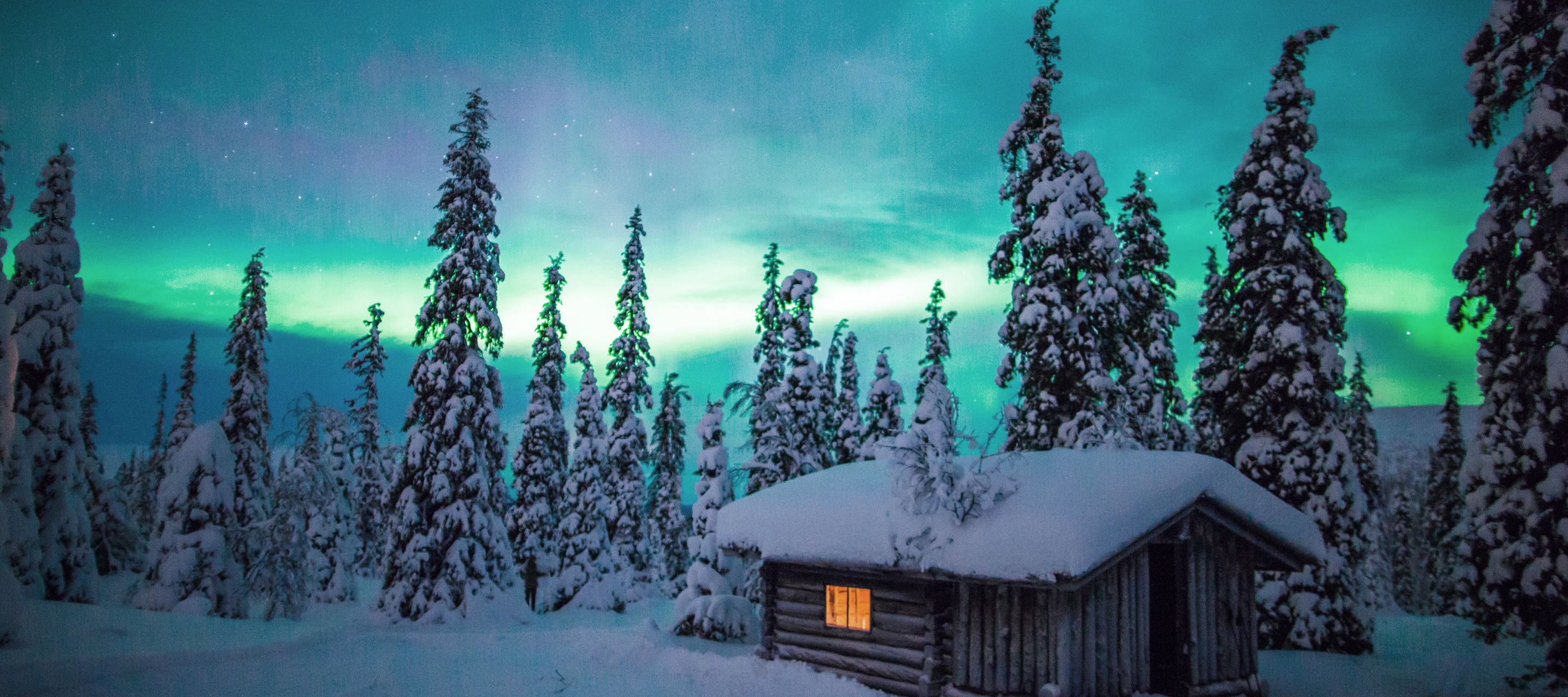 Nordlichter ohne Lichtverschmutzung bestaunen
