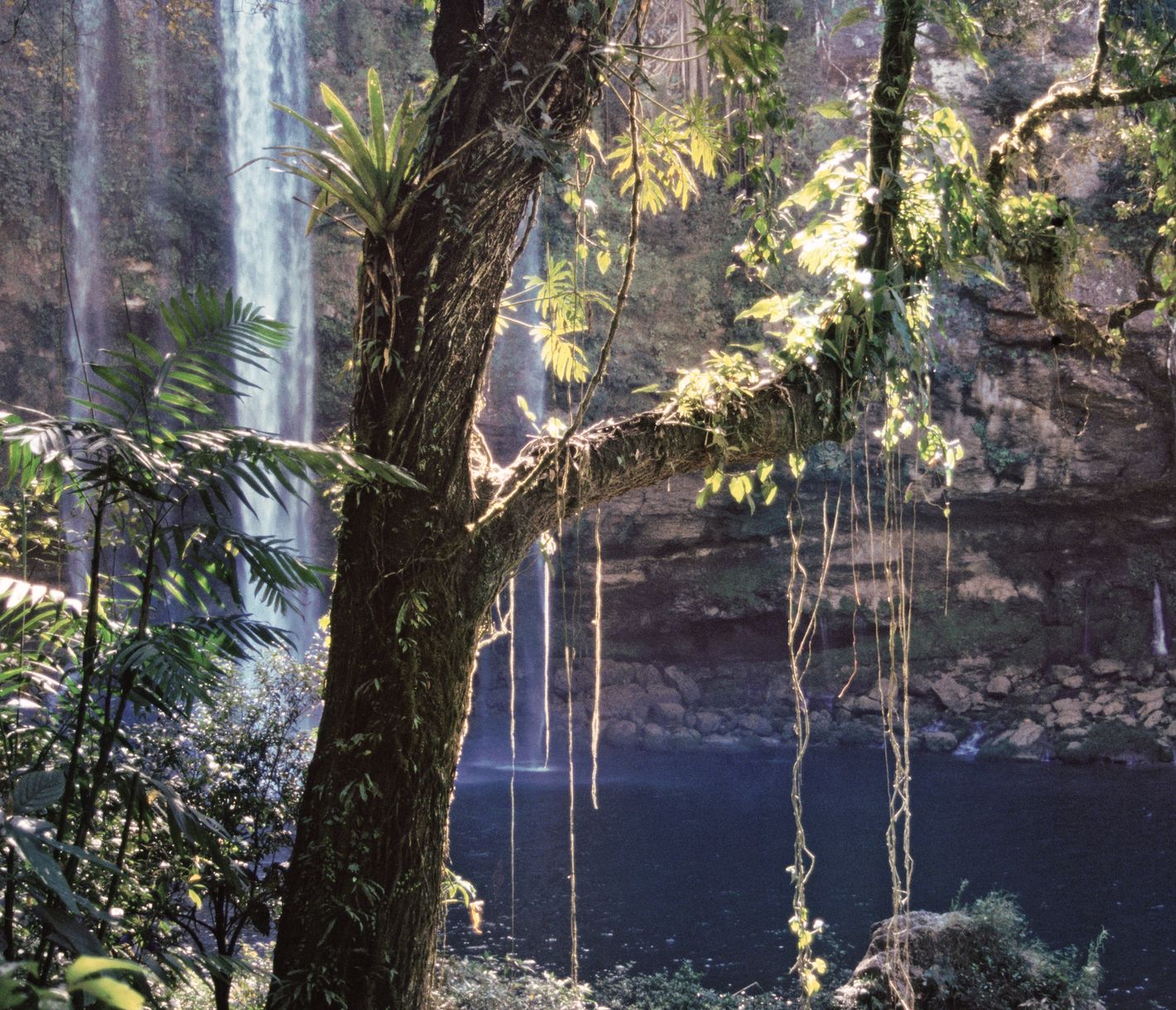 Idyllisches Fleckchen Erde inmitten des Urwaldes