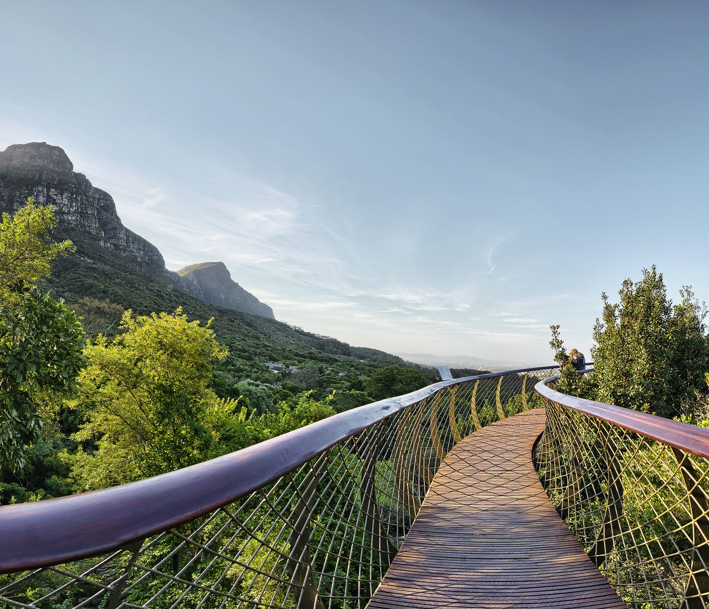 Gehweg in luftiger Höhe durch Kirstenbosch