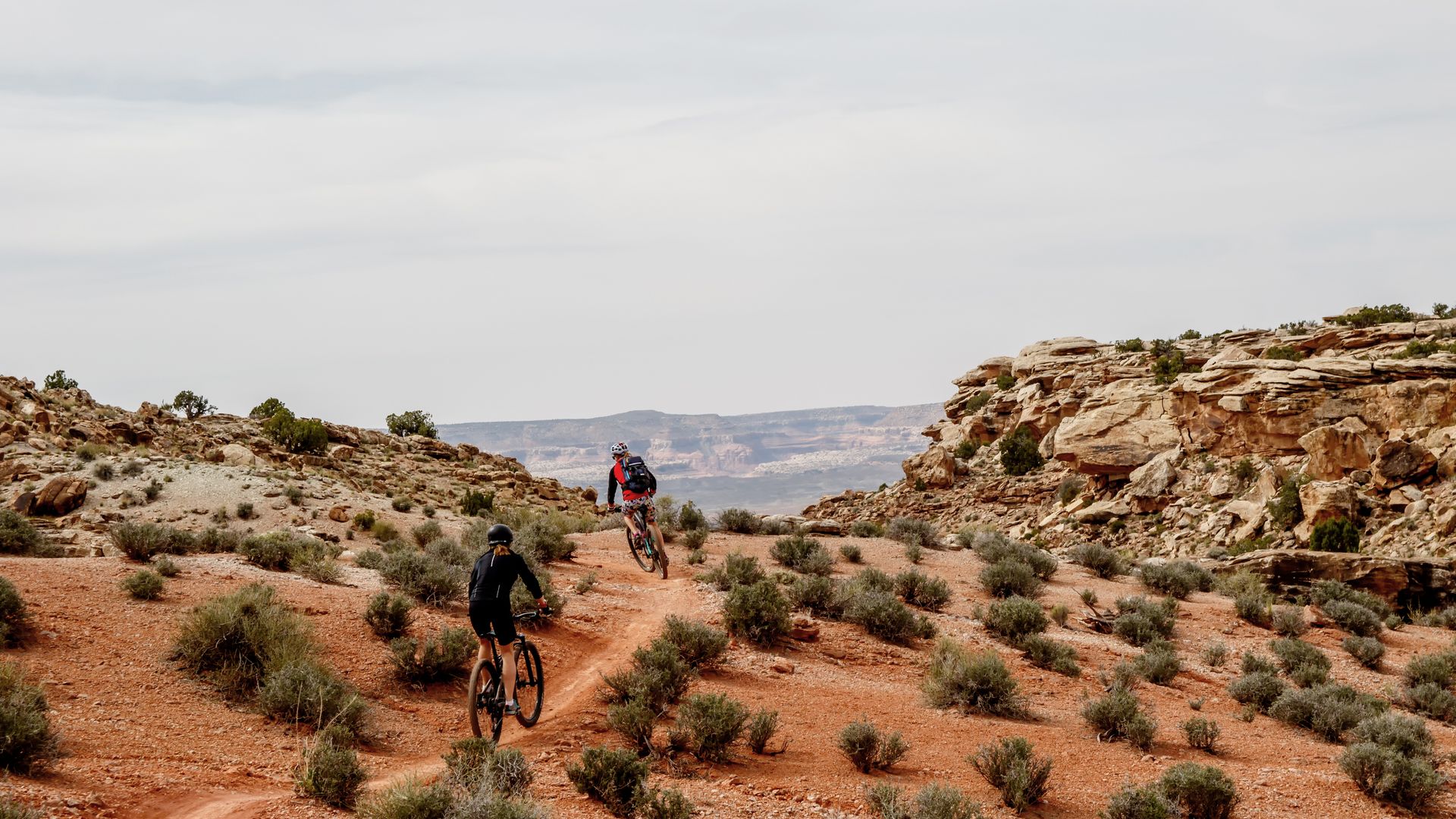 Slickrock Bike Trail dans le désert près de Moab