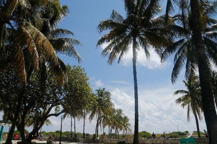 8. Bild der Unterkunft