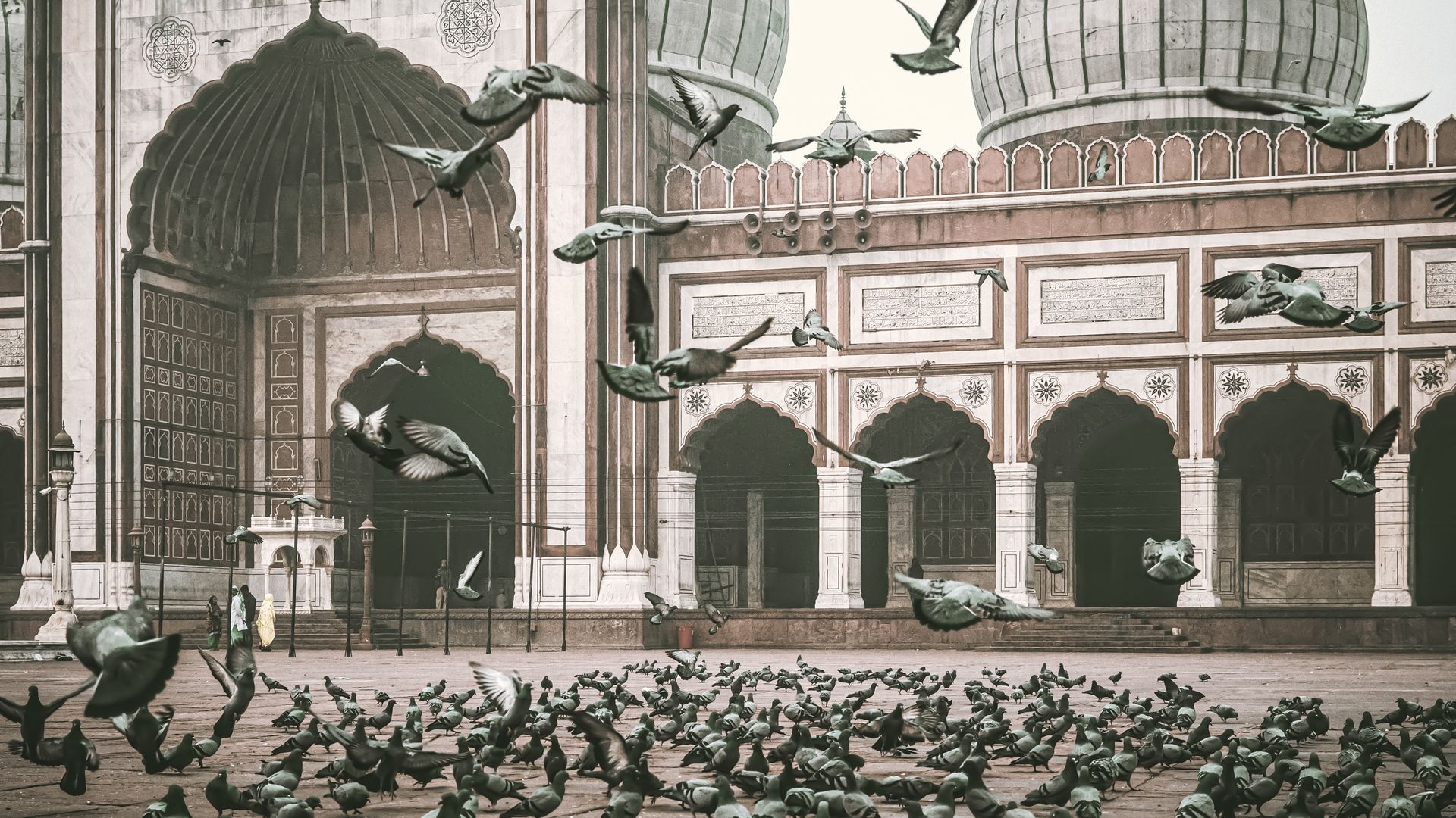 Ein Tauben-Schwarm auf dem Hof der Jama-Masjid-Moschee in Delhi