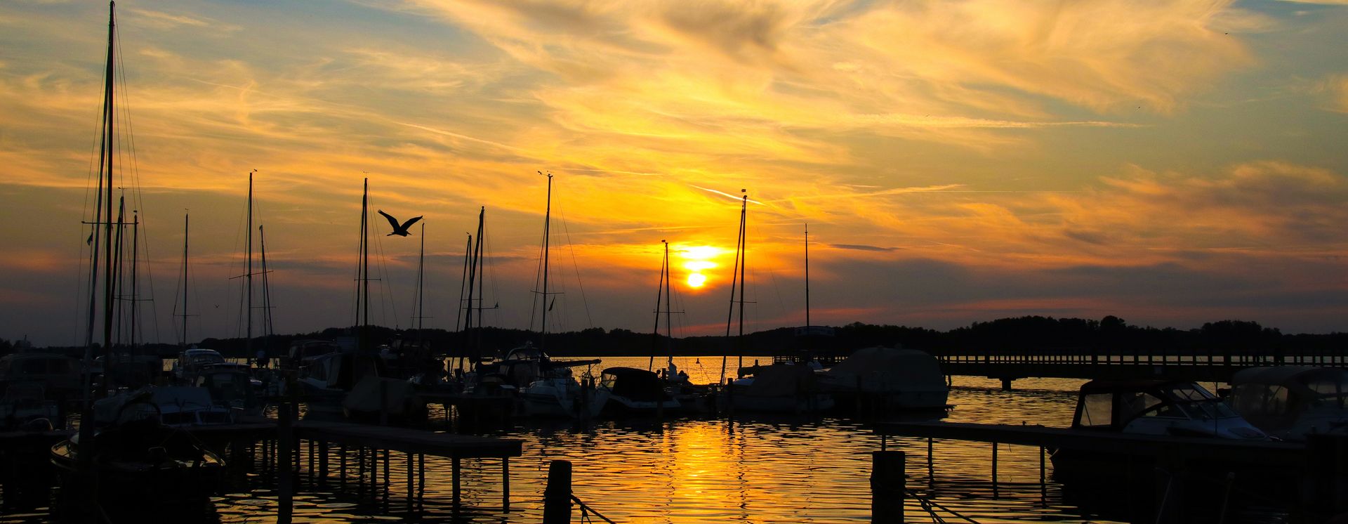 Müritz National Park