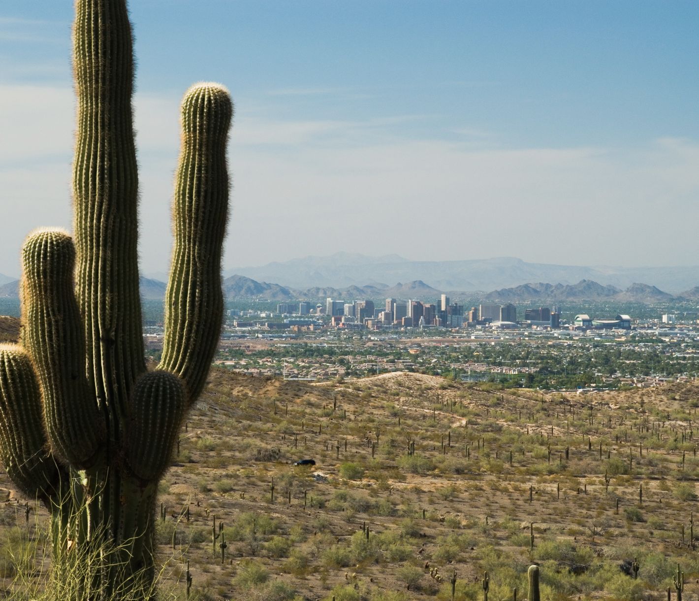 Phoenix und Scottsdale sind umgeben von der Sonora Wüste.
