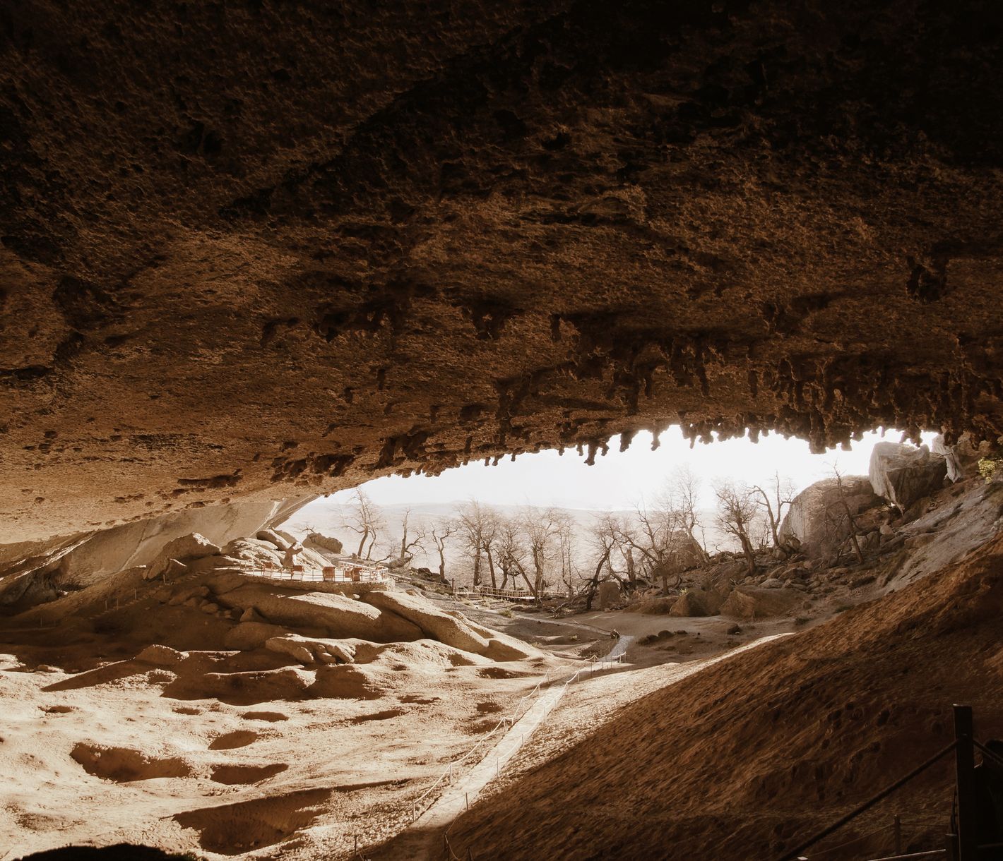 Die Milidón Höhle bei Puerto Natales