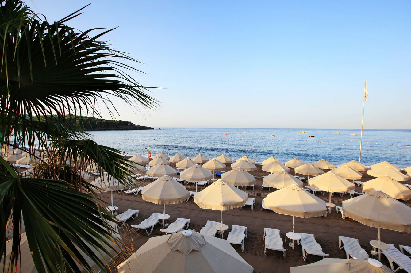 Strand