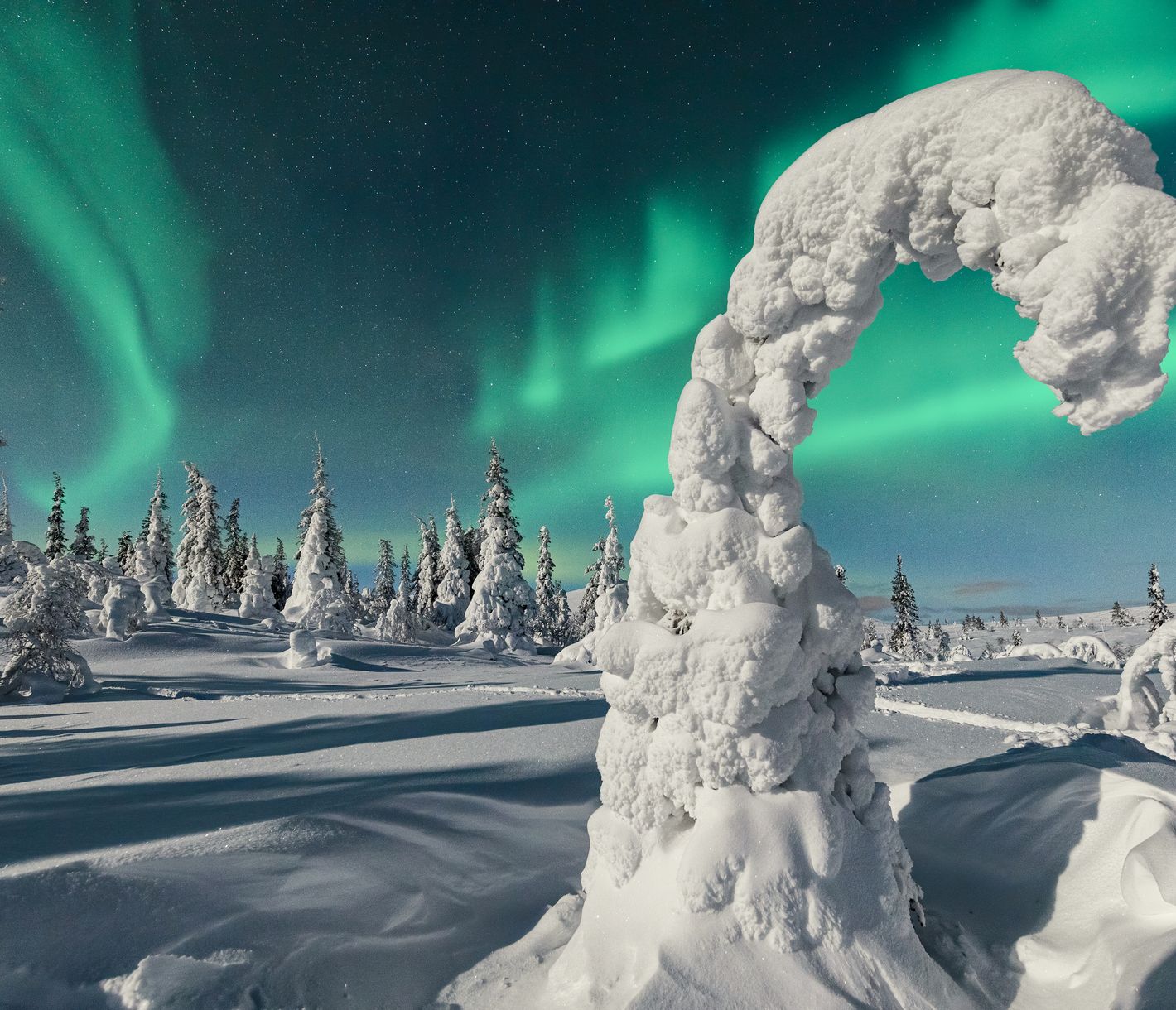 Sculptures féeriques