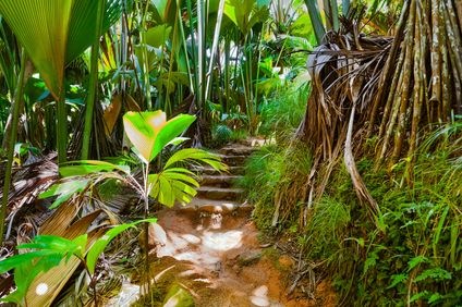 12. Bild der Rundreise