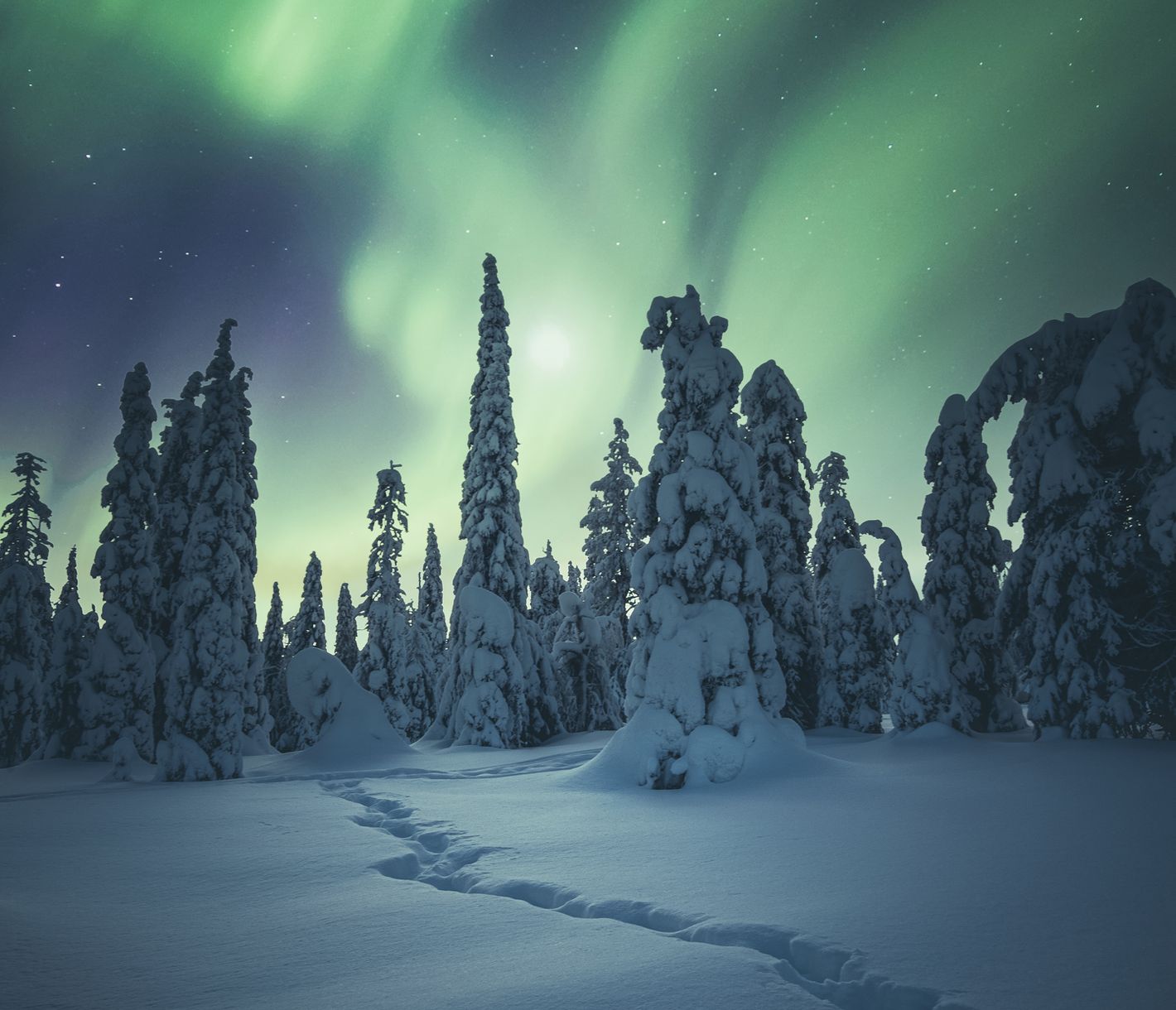 Ein eindrückliches Naturspektakel für Jung und Alt
