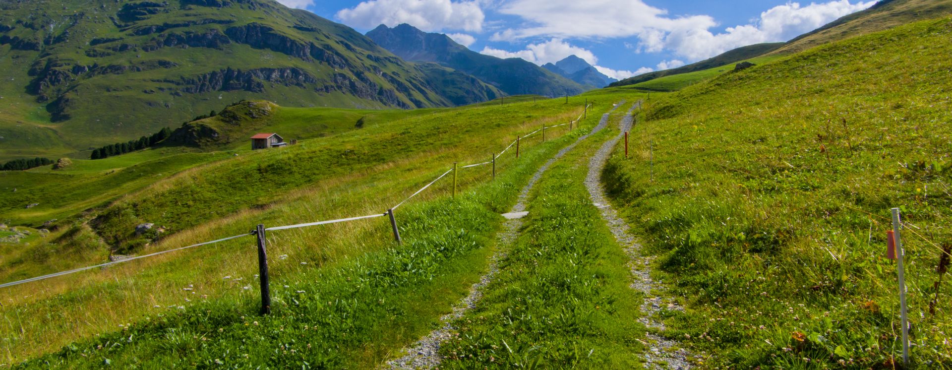 Wandern in der Region Bivio