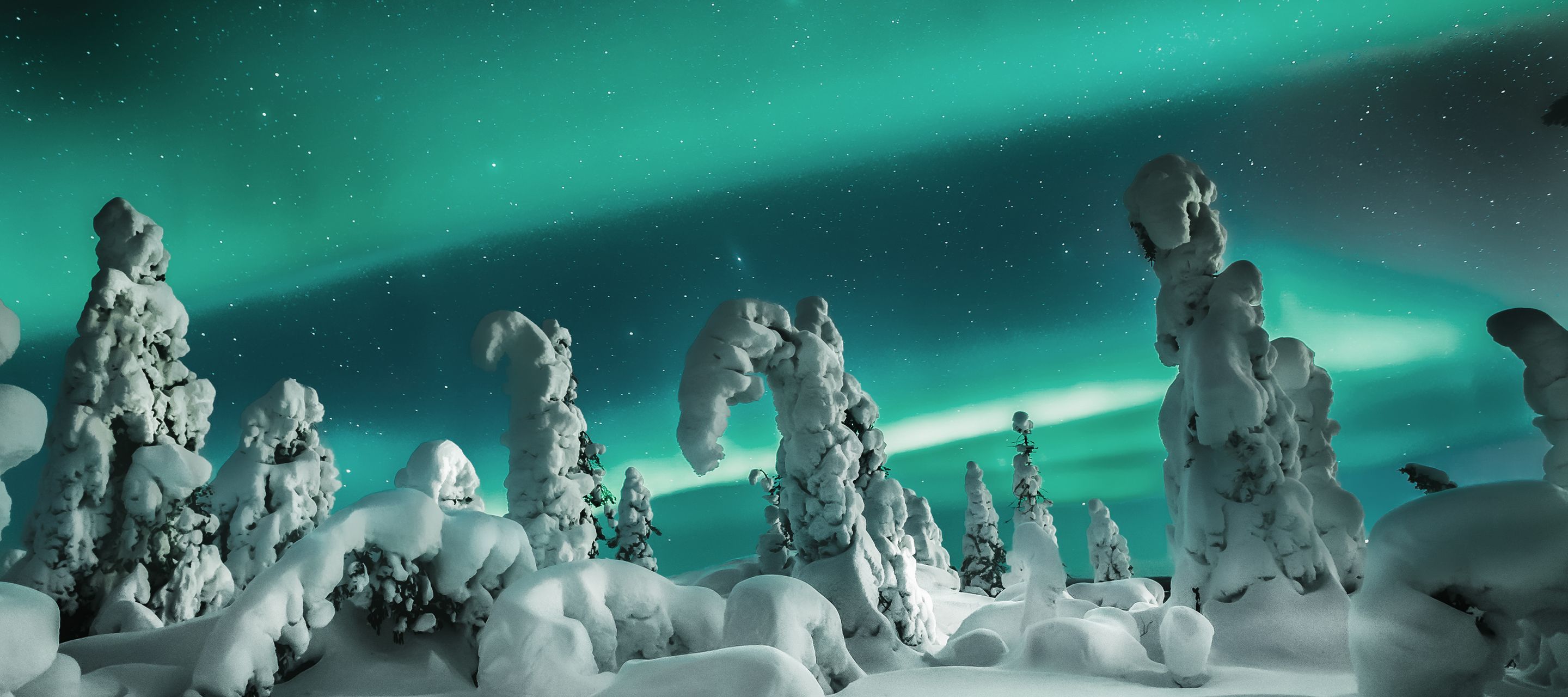 Nordlichter am Polarhimmel erscheinen meist grün.