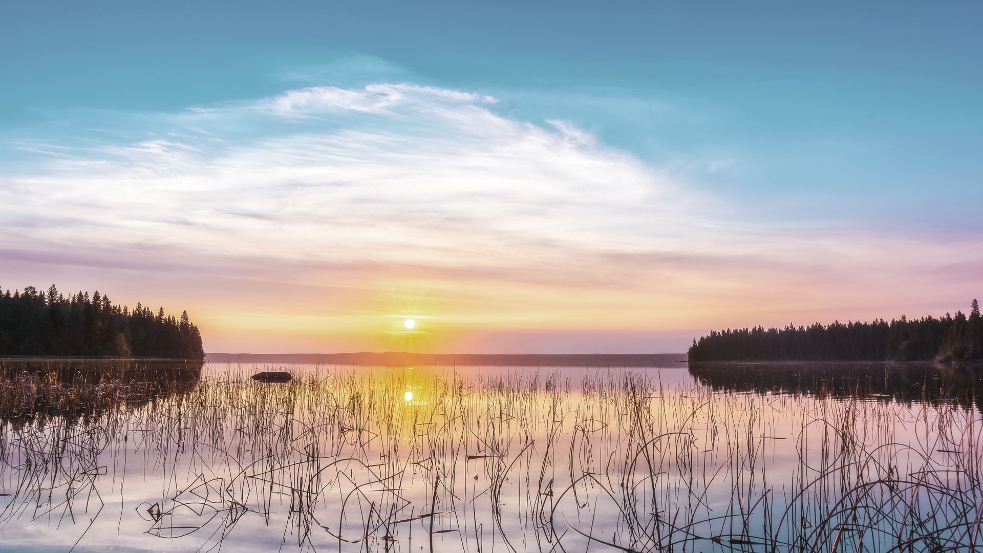 Prince Albert National Park