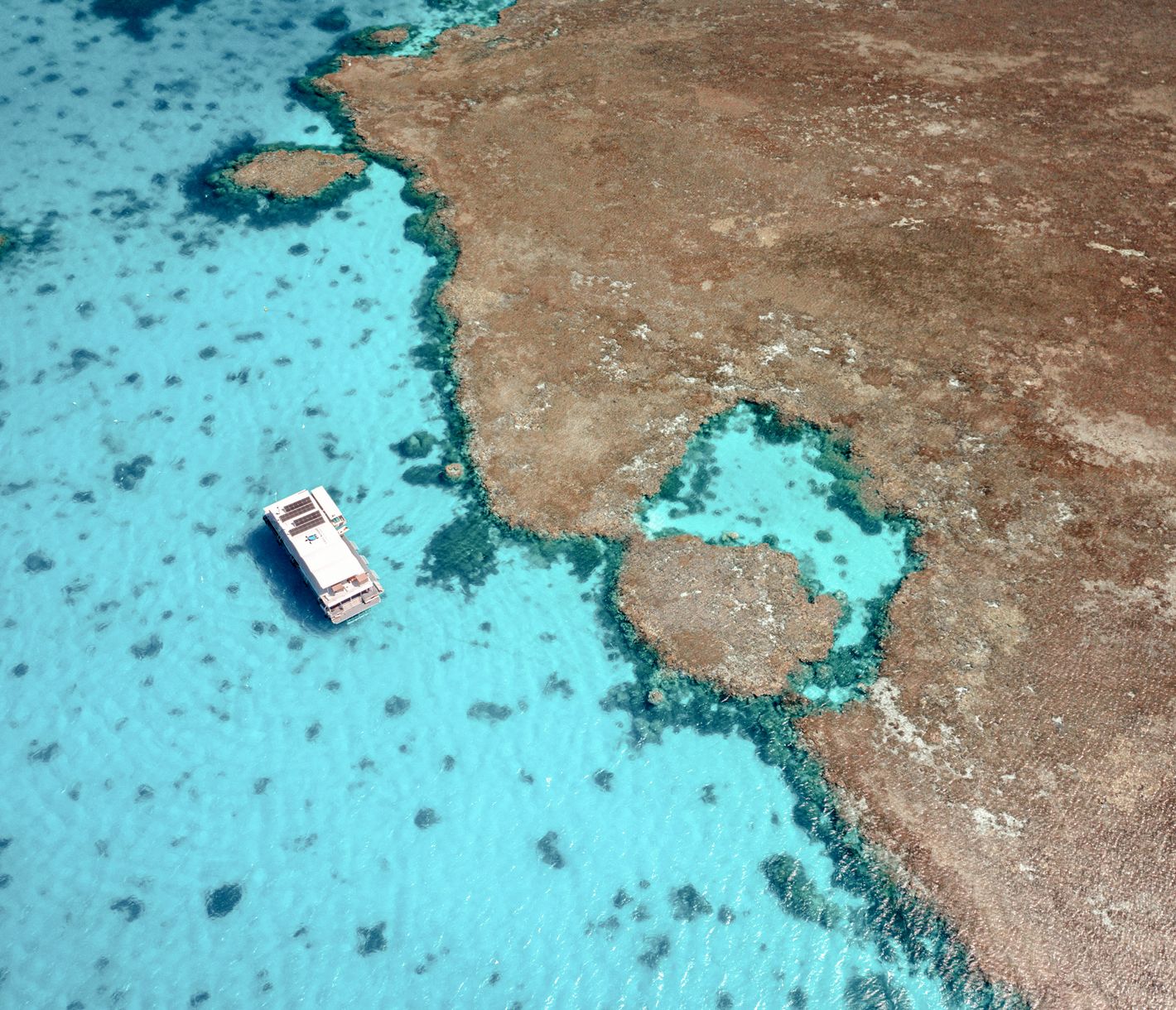 Lady Musgrave Island