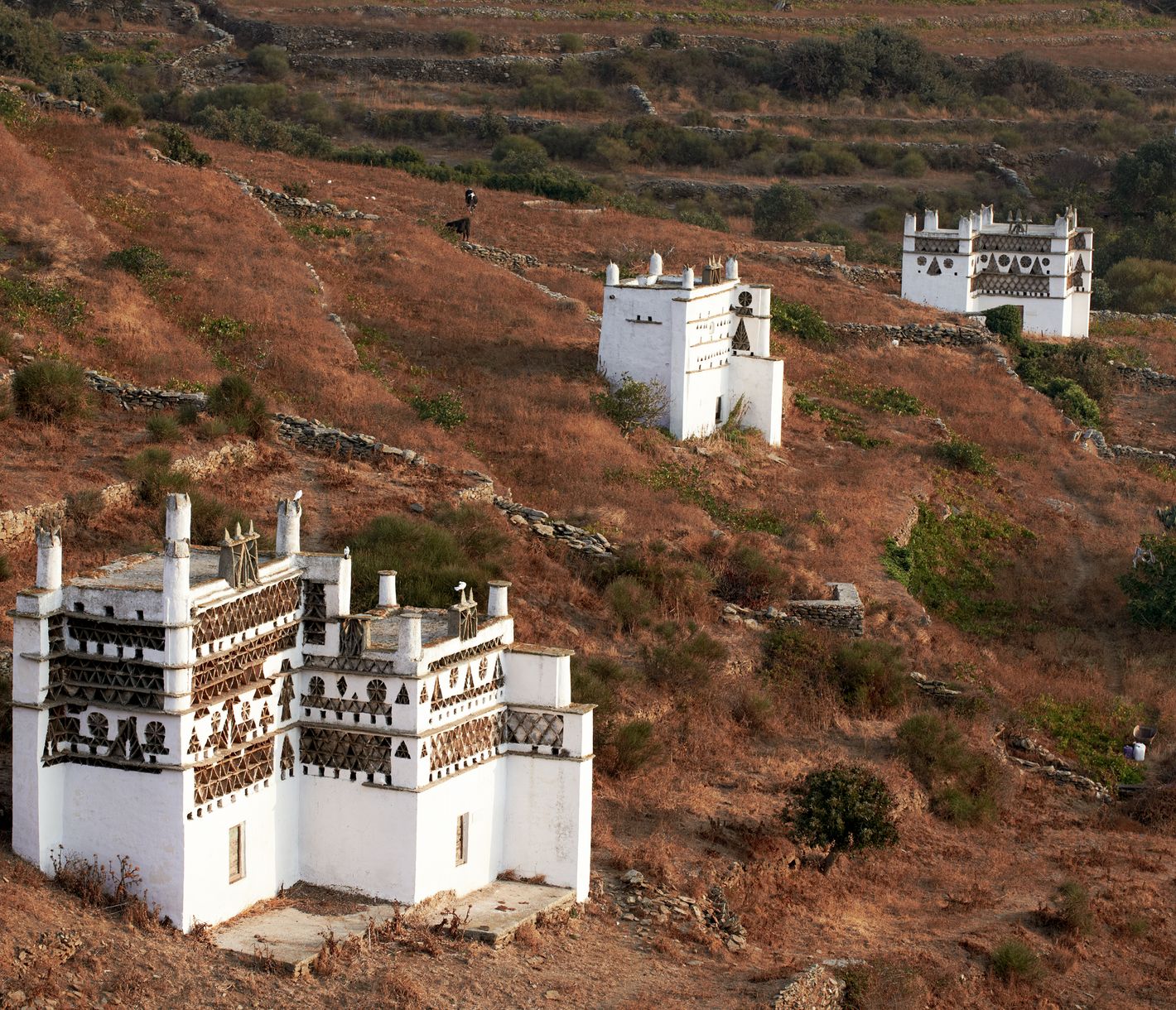 Tinos: die Insel der Tauben