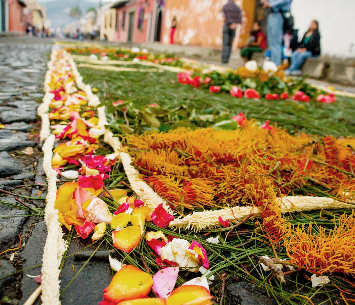 Teppiche aus Blumen und Sand in Antigua