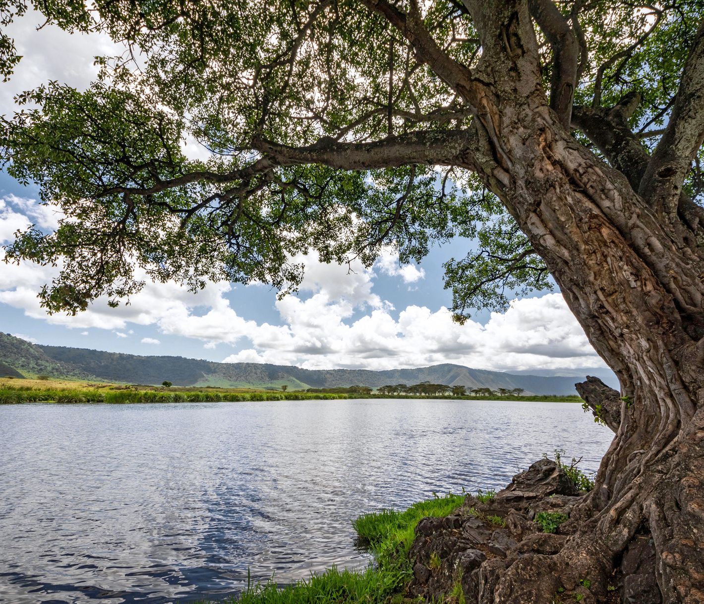 Picknick-Lunch am Ngoitokitok-See im Ngorongoro-Krater