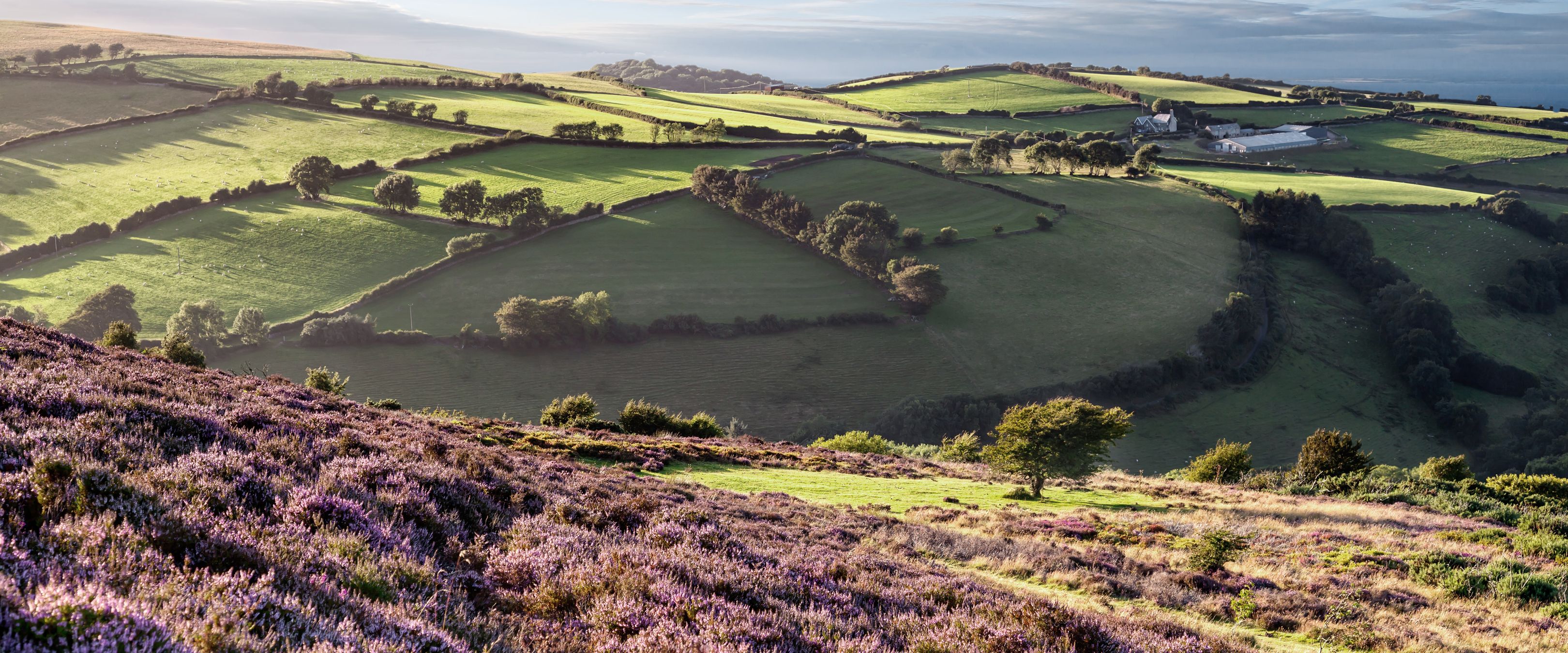 Ein Flickenteppich der Superlative