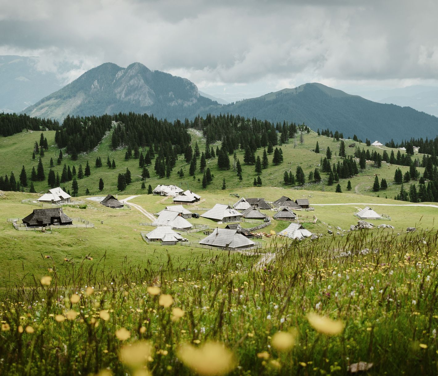 Prairies verdoyantes, fleurs de montagnes, maisons de bergers traditionnelles, des vaches qui font tinter leurs cloches, Velika Planina est un petit paradis !