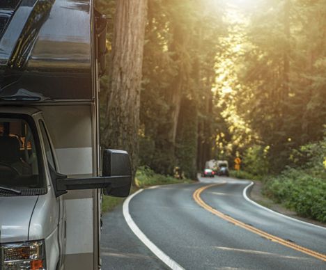 Die kurvenreichen Strassen durch den märchenhaften Sequoia National Park