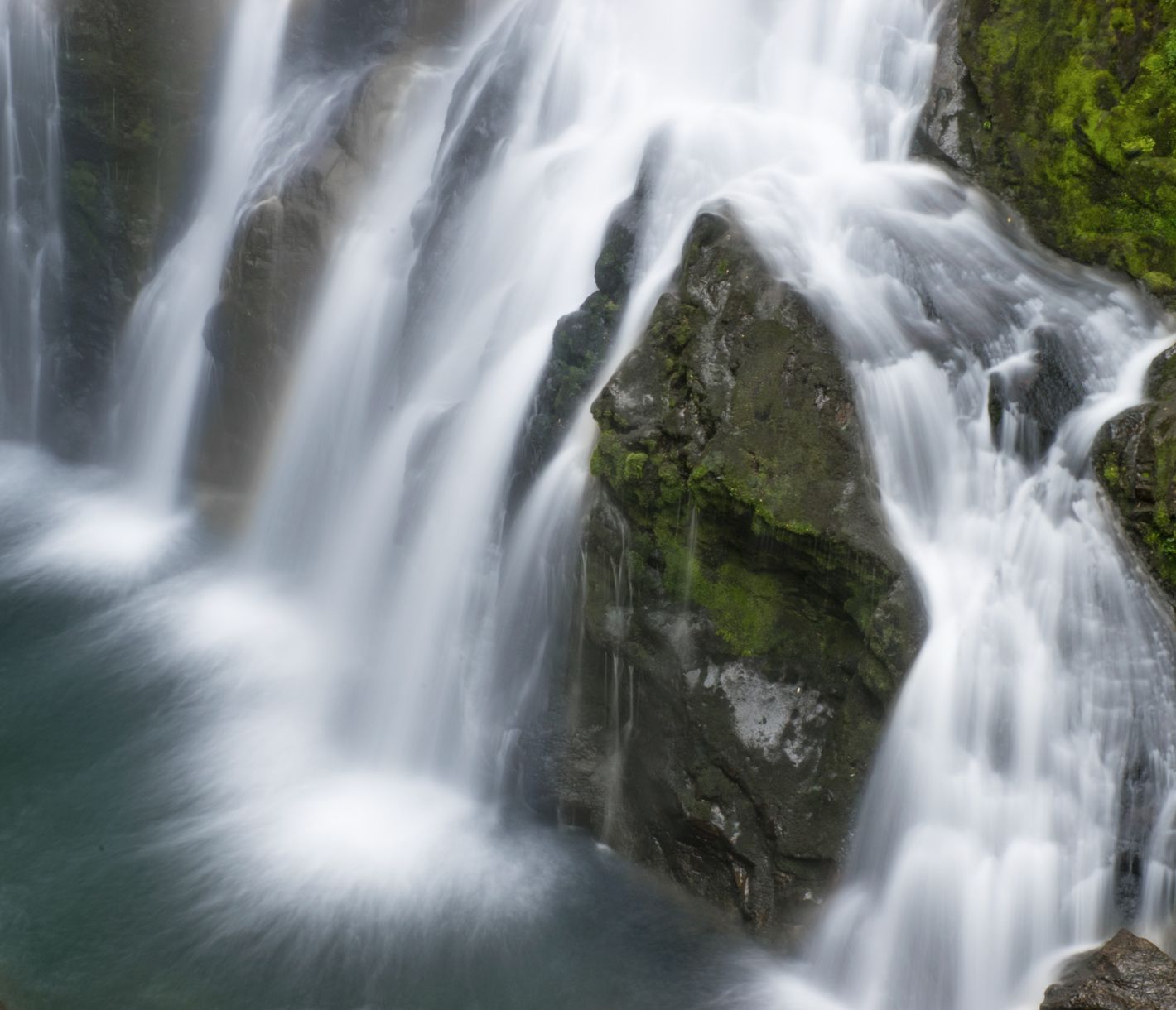 Verborgen im mystischen Märchenwald