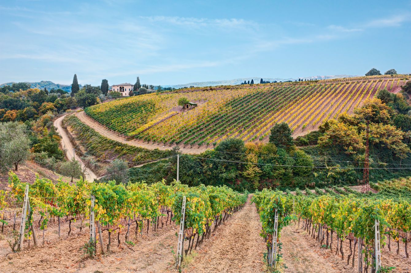 Montalcino