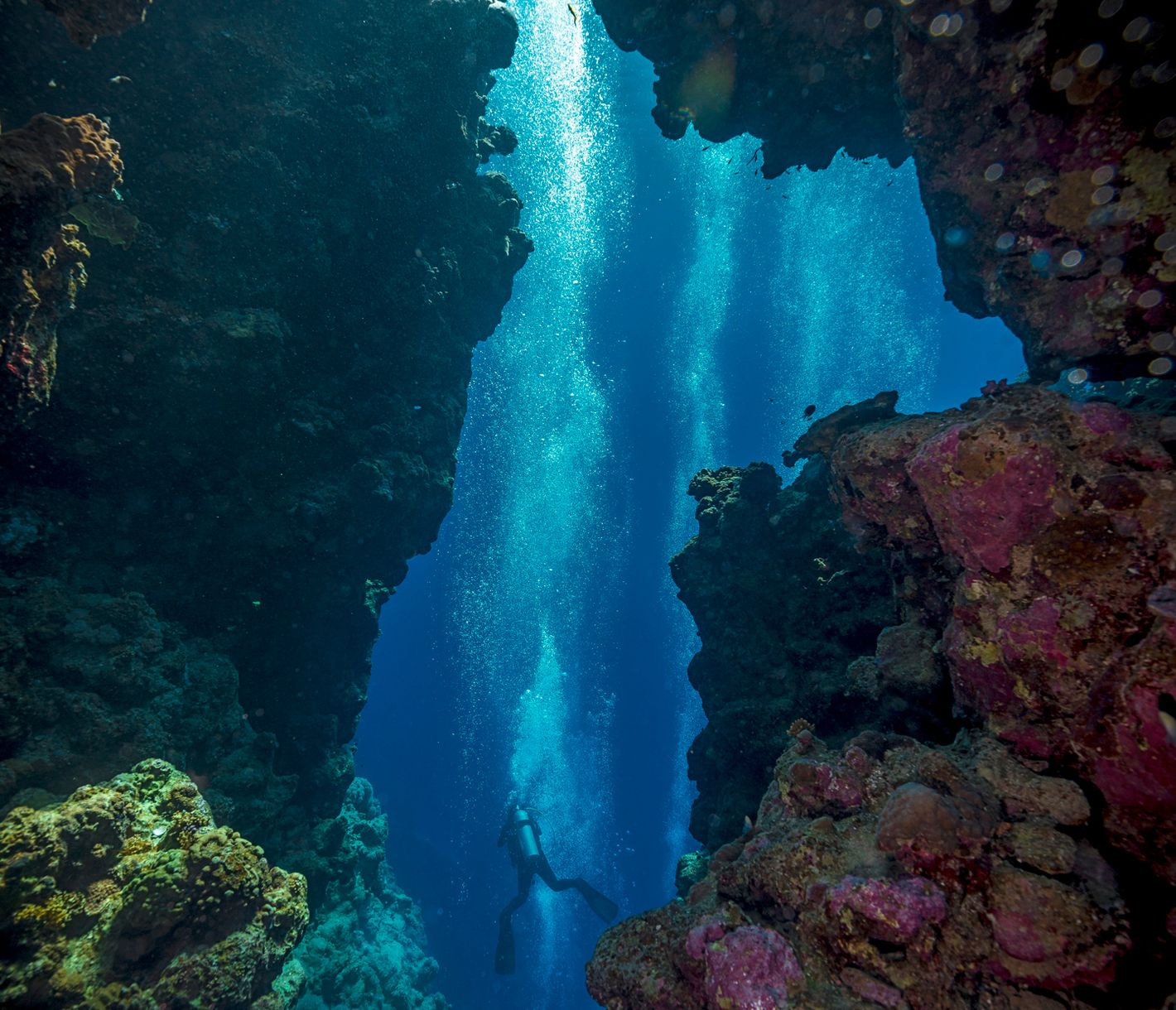 Taucher am Bells Dive Spot