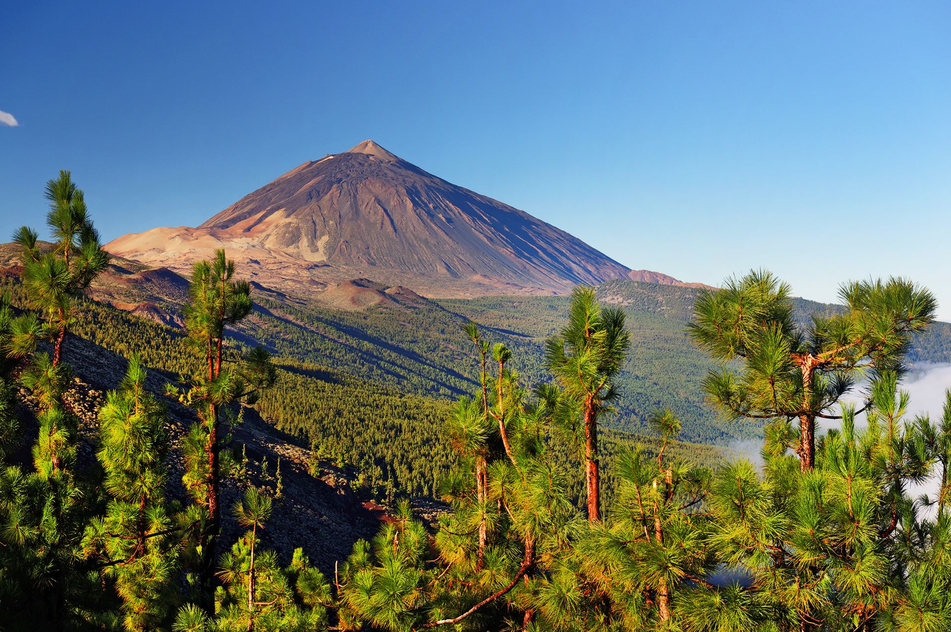 Belle vue sur le Pico del Teide