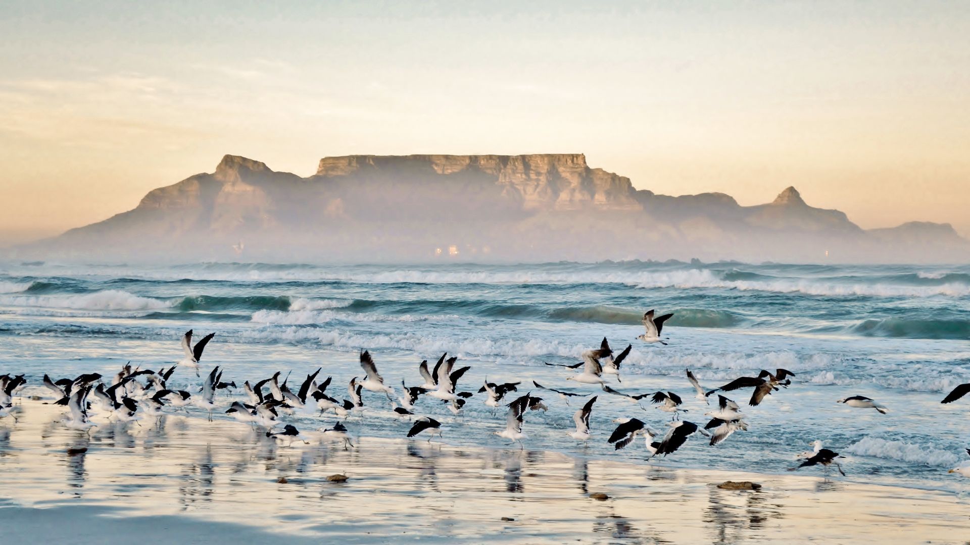 Vue sur le Cap et la montagne de la Table depuis la plage de Bloubergstrand