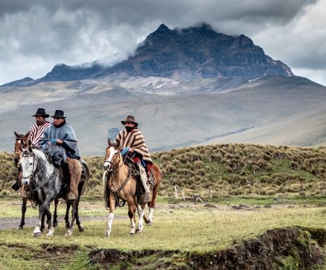 Die vielfältige Flora und Fauna im Nationalpark Cotopaxi entdecken