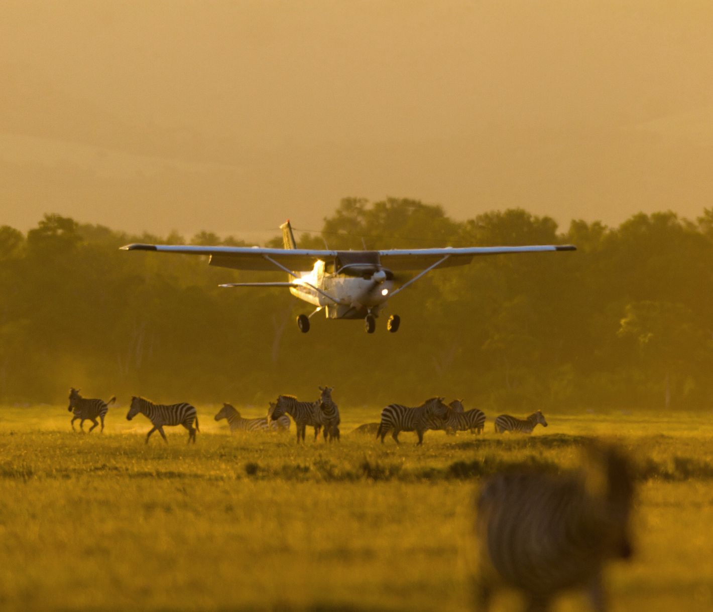 Landung eines Safariflugzeuges in der Masai Mara