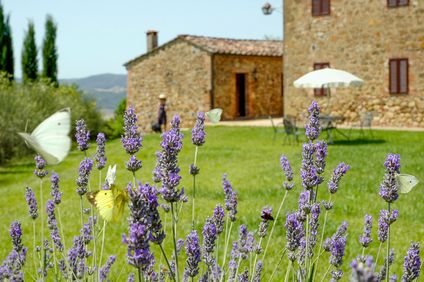 6. Bild der Unterkunft