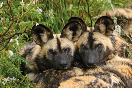 10. Bild der Rundreise