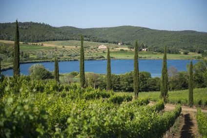 11. Bild der Unterkunft