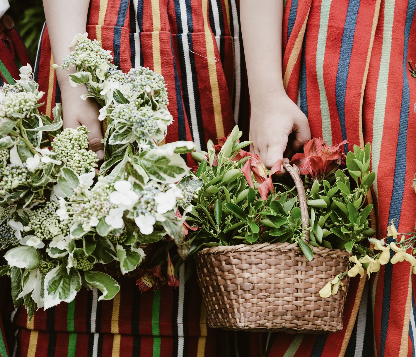 Madeira – das Blumenparadies im Atlantik