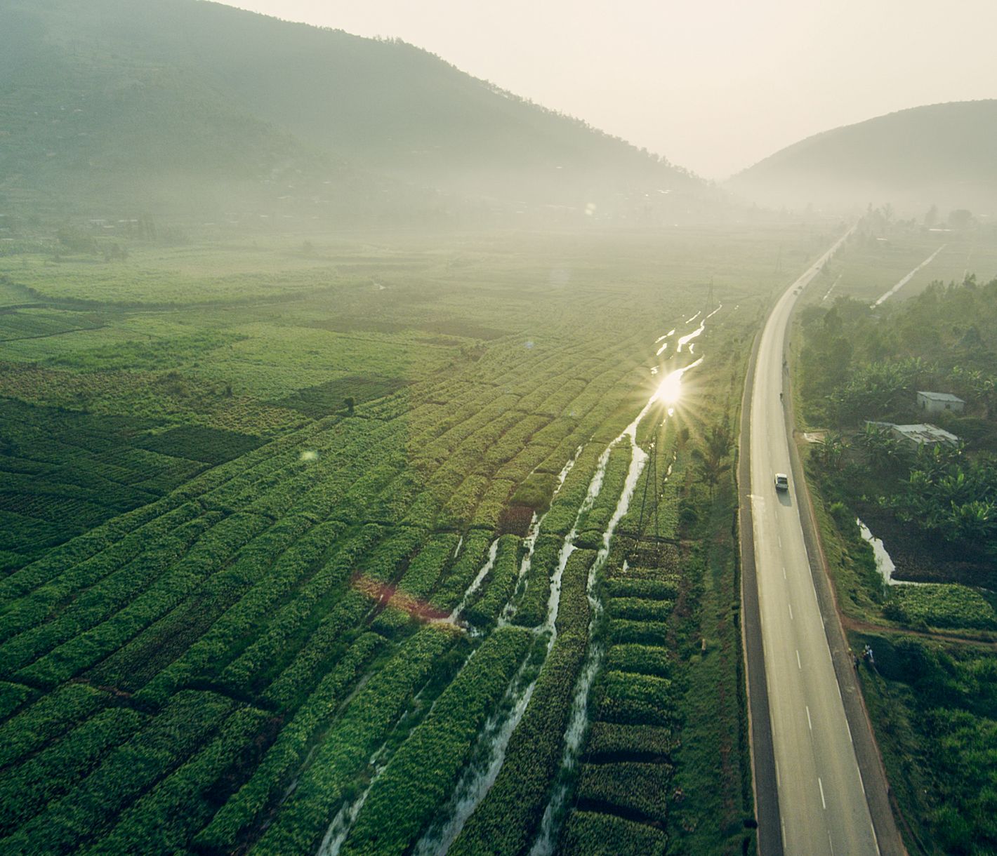 Strasse entlang von Reisfeldern in Ruandas Hochland