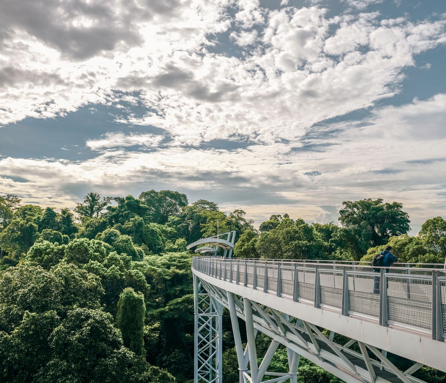 Die grünste Stadt der Welt