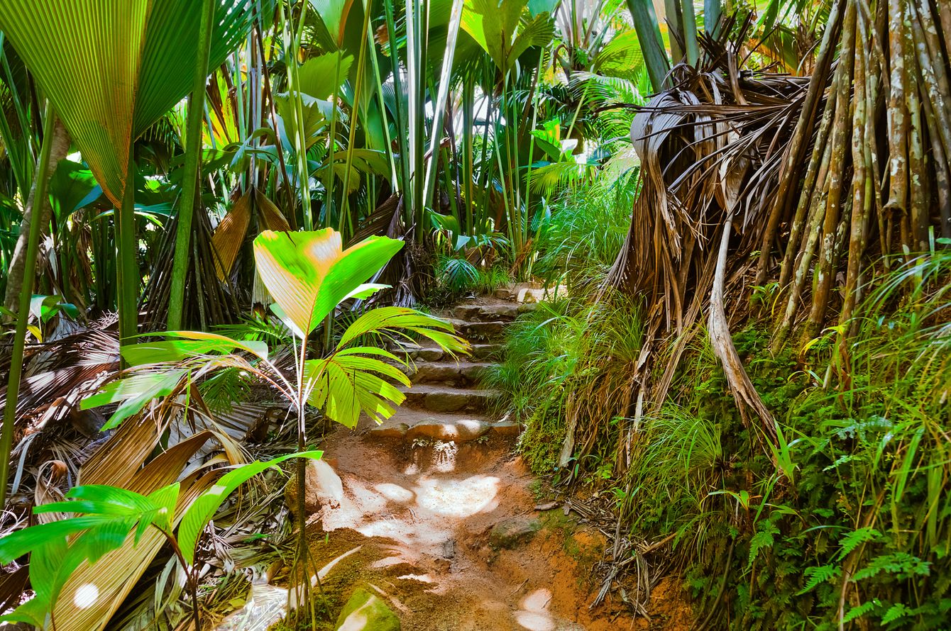 12.Bild der Rundreise