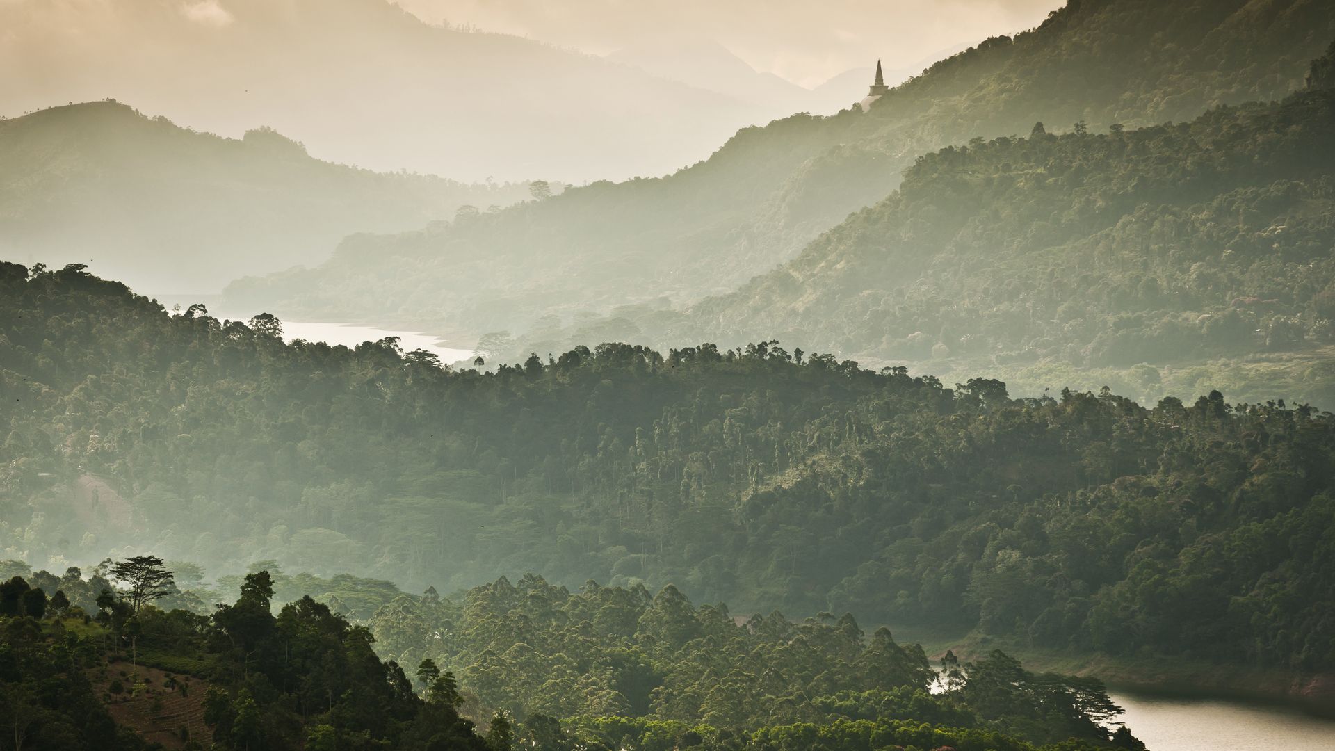 Grünes Hochland zwischen Kandy und Nuwara Eliya