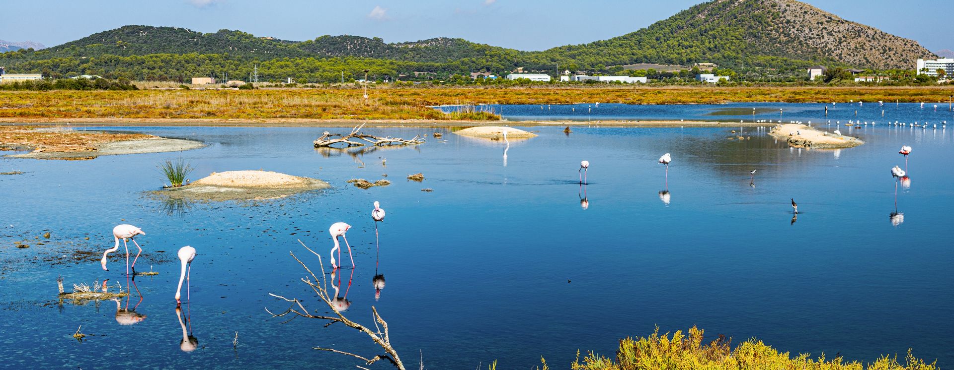 Naturpark S'Albufera