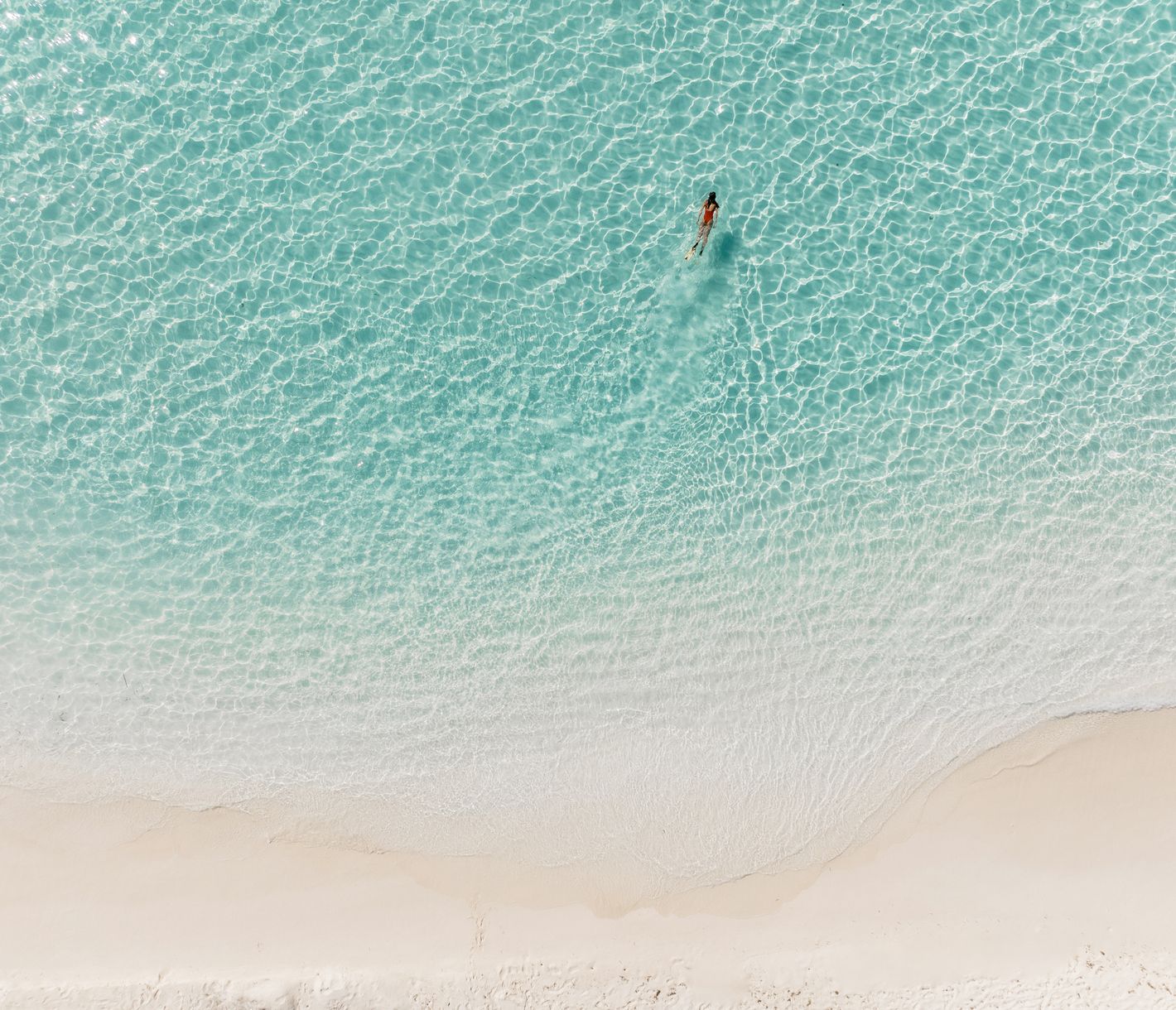 Schwimmen in tropischer Lagune – Malediven Naturerlebnis hautnah