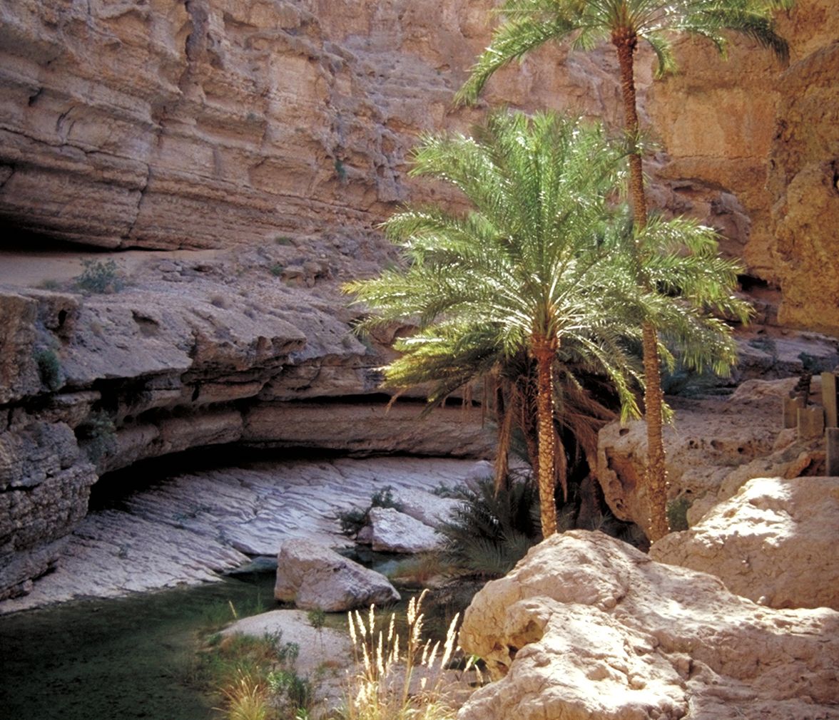 Wadi Bani Khalid – Oase inmitten der omanischen Bergwelt