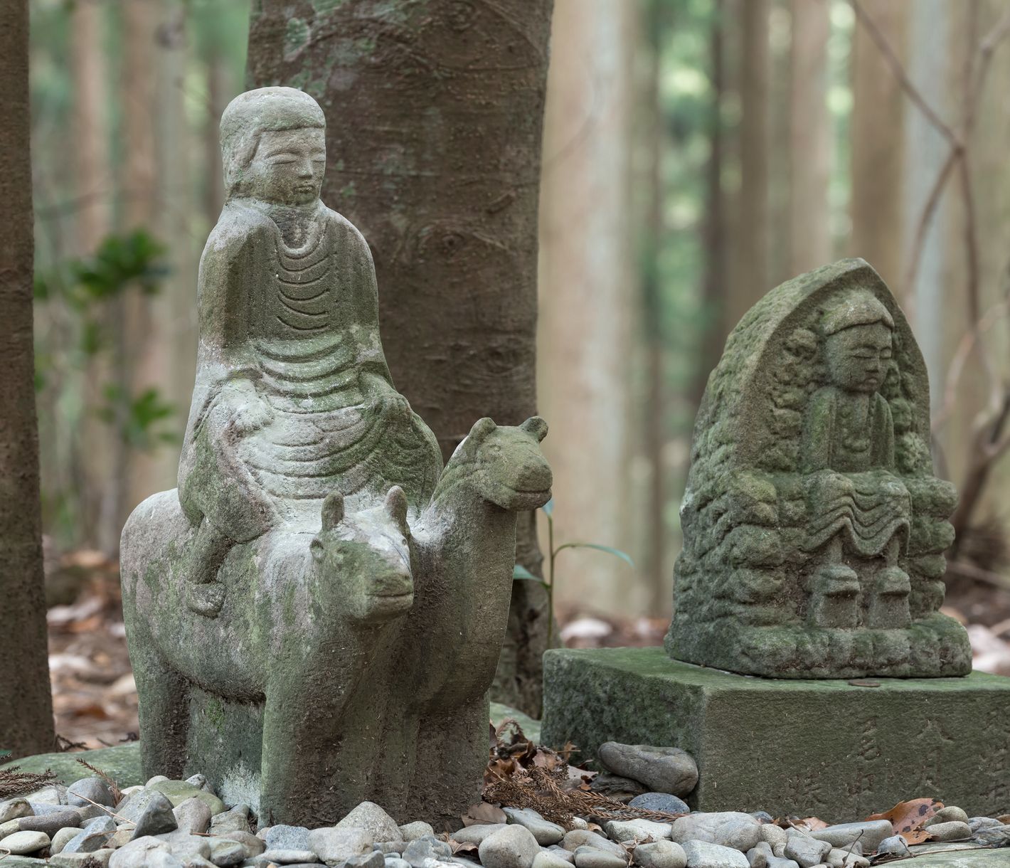 Nakahechi – der kaiserliche Pfad