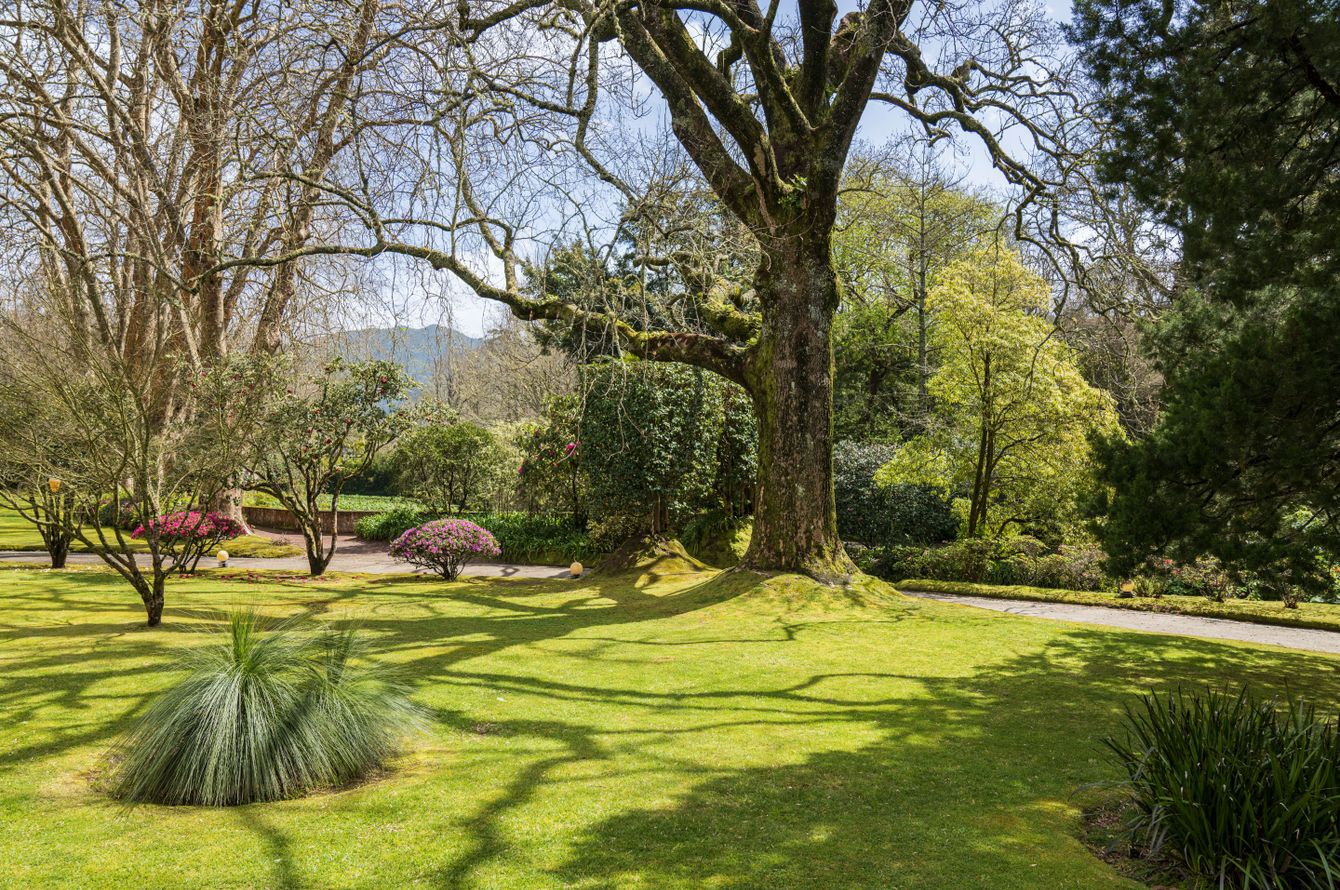 Gartenanlage