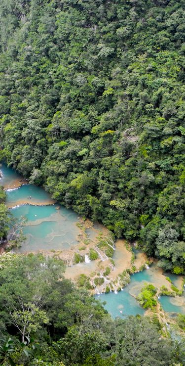 Guatemala Reisen - Naturspektakel Semuc Champey