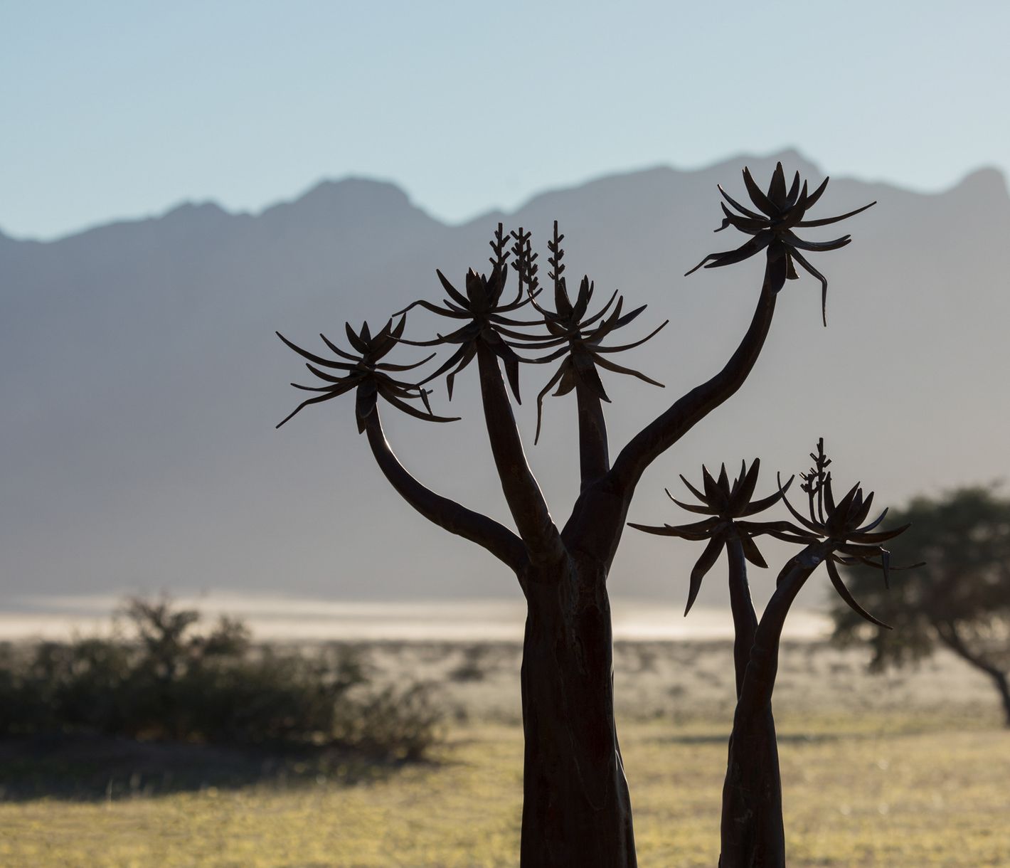 Desert Camp, Panorama