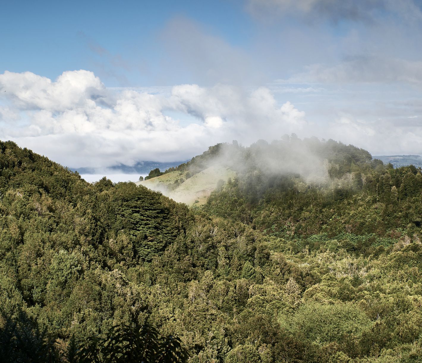 Die Insel Chiloé ist eine Insel voller Mythen und Legenden.
