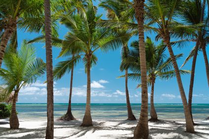 13. Bild der Unterkunft