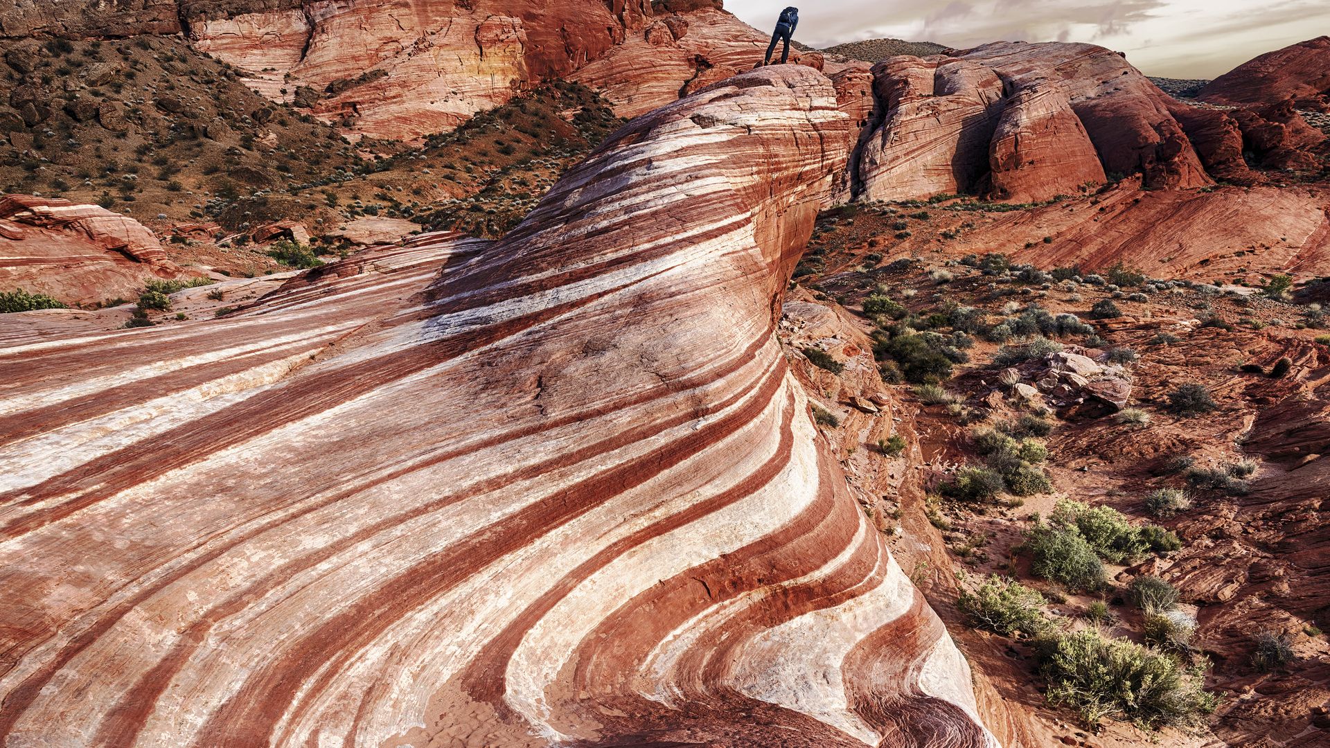 Das Valley of Fire ist der grösste und älteste State Park in Nevada