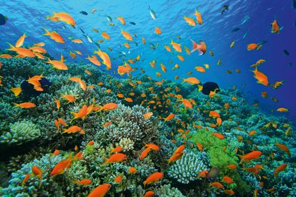 2. Bild der Rundreise